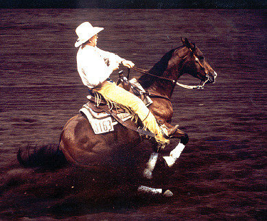 bridling-reiner-style1.jpg bridling-reiner-style1.jpg