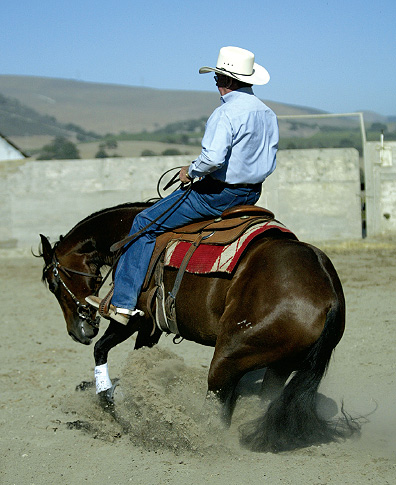 bridling-reiner-style4.jpg bridling-reiner-style4.jpg