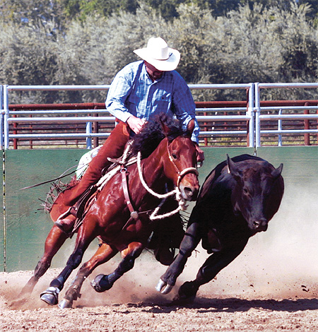 contemporary-bridling3.jpg contemporary-bridling3.jpg