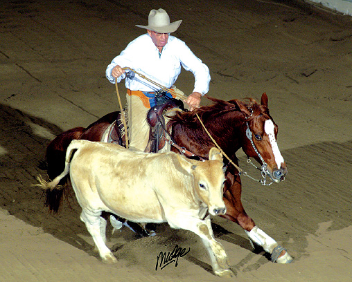 contemporary-bridling5.jpg contemporary-bridling5.jpg
